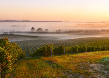 Chateau Leconte Marquey_OceněnáVína_CZ